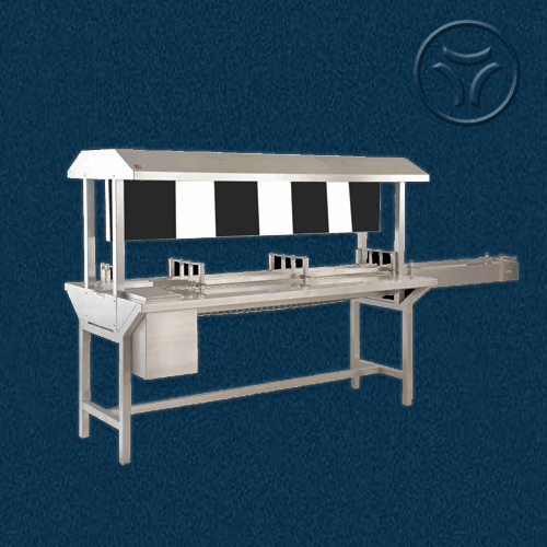 Inspection Conveyor Belt System
